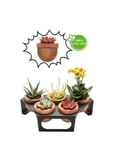 Halohope Metal Stantlı 5'li Skulent Saksısı Siyah Saksılık