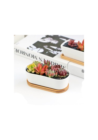 Yifomall Beyaz Seramik Dikdörtgen Saksı - Bambu Tepsi İle Minimalist Sukulent Ve Çiçek Saksısı