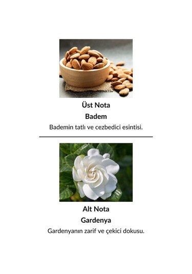 Alescia St-113 Kadın Parfüm EDP 50 ML