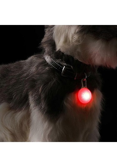 Opulentliving Gece Yürüyüşü Köpek Işıkları, Usb Şarjlı, Çok Renkli Tasma Çok Renkli