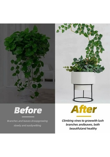 Ebitda 18 Adet Metal Bitki Destek Kafes Tırmanma Tesisleri, Duvar Kancaları İle Bahçe Dekorasyonu