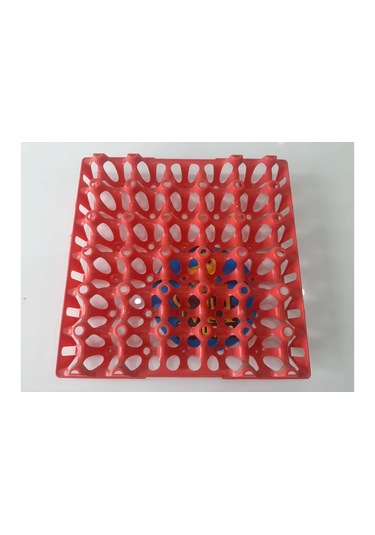 Plastik Yumurta Viyolü 30 Yumurta 4 Adet