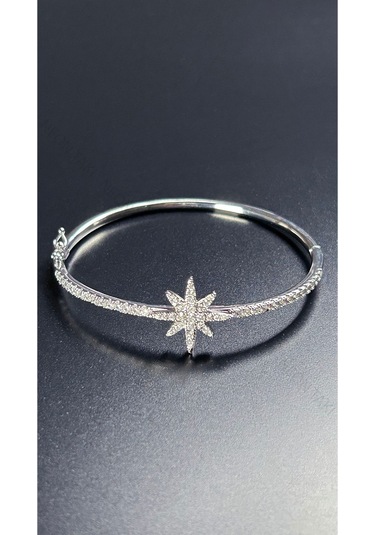 Zirkon Taşlı, Kutup Yıldızı, Platinyum Kap. Çelik Bileklik 176, Gümüş Renk Gümüş