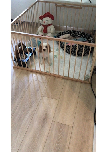 AHŞAP KÖPEK ÇİTİ YÜKSEKLİK 70 CM