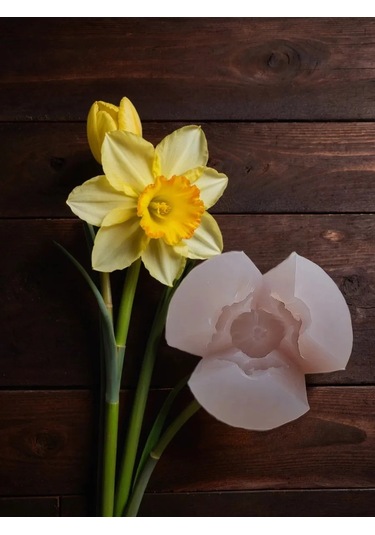 Koroleva Formy Gıda İçin Silikon Kalıp Nergis 305251572 Diğer