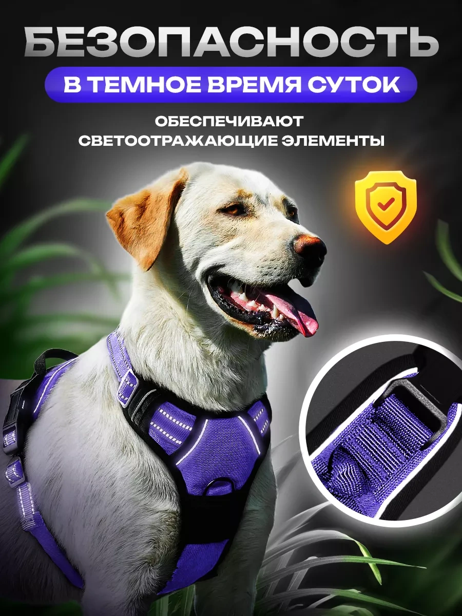 Petfort Orta Ve Büyük Irk Köpekler İçin Anatomik Koşu Kayışı 175517318 Violet