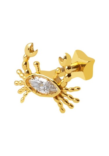 Bilezikci  14 Ayar Altın Yengeç Tragus Küpe Kphsy14k22508