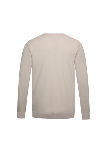 Vizon Regular Fit Bisiklet Yaka Rayon Triko Kazak 29595 Vizon