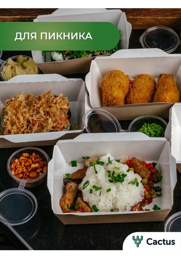 Cactus Tek Kullanımlık Trigloff Kutu, 1000 Ml Yemek Kapları 224868225 100 adet