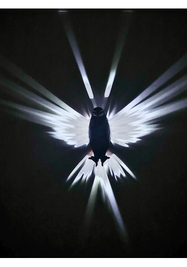 Kartal Şeklinde 3d Baskı Ile Üretilmiş Özel Üretim Dekoratif Gece Siyah