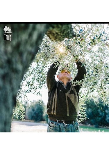 Tariş 1915 Naturel Sızma Zeytinyağı 3 x 2 L