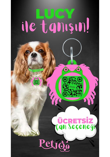 Petjoo 11.Lucy Pembe-Yeşil Qr'lı Köpek Künyesi