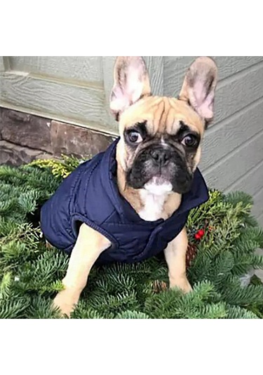 Vkemall Kış Köpek Giysisi Kalın Polar Yelek, İki Katlı Isı Sağlar, Boyun Zincir Deligi, 3xl Lacivert Büyük Irk Köpekler İçin