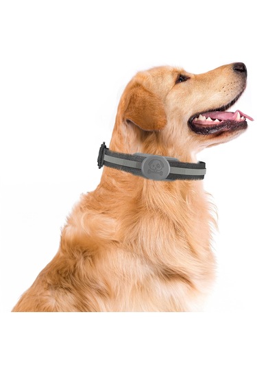 Buff Tagsafe Dogcol Taşınabilir Anahtarlık Airtag Kılıf Gray