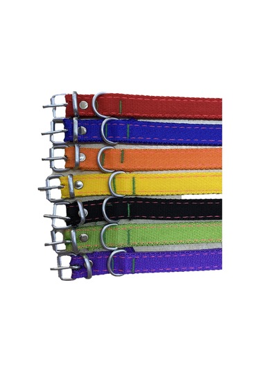 Kedi̇ - Köpek Tasmasi 40 CM