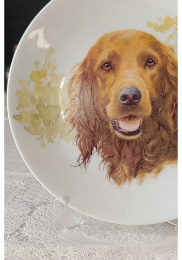 Köpek Figürlü Duvar Tabağı Kahverengi