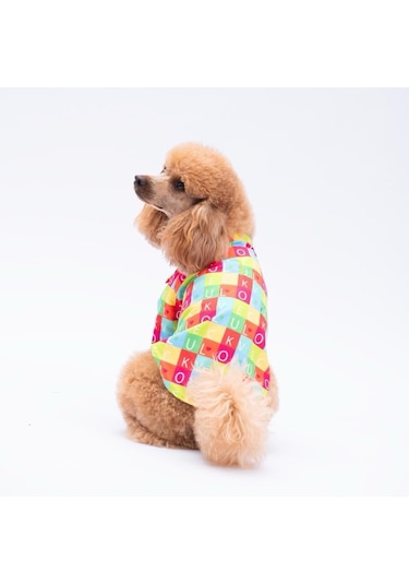 Pawstar Sarasota Kedi Ve Küçük Irk Köpek Gömleği