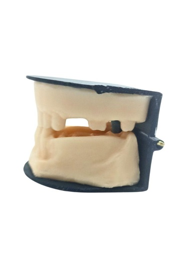 Barışhan Medikal Silikon Çene Diş Dikiş Modeli Ortodontik Alt Üst Çene Periodontal Sütür Eğitim Modeli-1