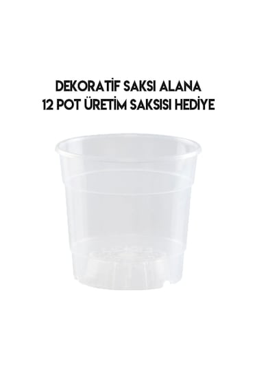 Beyaz Orkide Saksısı Dekoratif Dış Saksı 1 Adet- 12 Pot Şeffaf Orkide Üretim Saksısı Hediyeli Beyaz Saksı