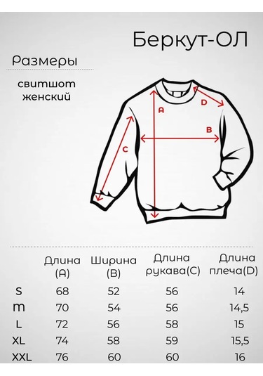 Berkut-ol Sweatshirt Basit Kapüşon Süetli 98755515 Siyah