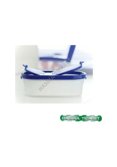 Tupperware Oval 500 Ml Kuru Gıda Saklama Kabı Oval 1 Hsgl N1142881