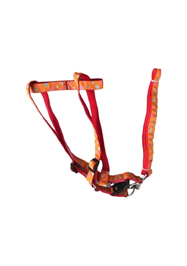 DF-LH0020 Gezdirmeli Köpek Göğüs Tasması 25 mm.x120 cm. Turuncu