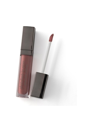 Pierre Cardin Photoflash Dudak Parlatıcı Misty Rose