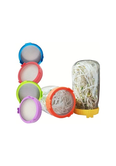 Willowhaven Evde Kendiniz Sağlıklı Yeşil Filiz Yetiştirme Kiti 1 Adet