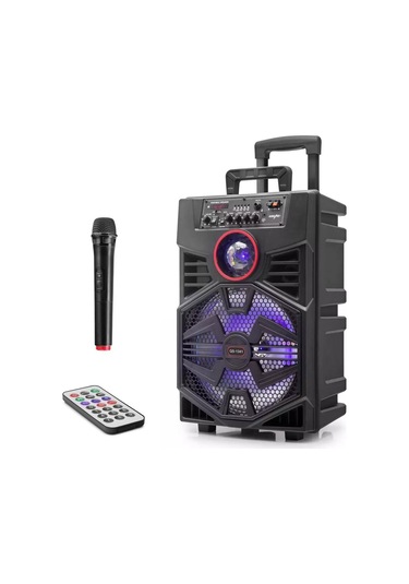 Kimiso QS1341 El Mikrofonlu 30 Cm 30W Mini Müzik