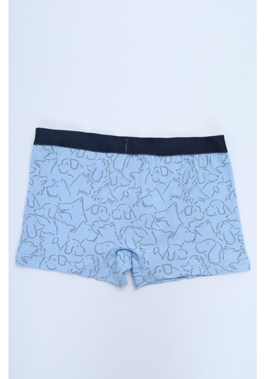 Toontoy Erkek Çocuk Çizgili Desenli Baskılı 4lü Paket Boxer Çok Renkli