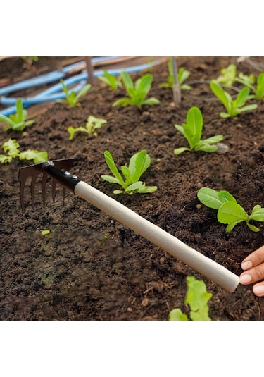 Suntek Bahçe Tırmağı İşçi Tasarrufu Aile Arka 5-tines