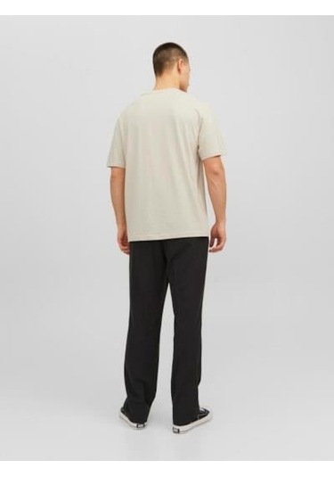 Jack&jones Orıgınals Jorvesterbro Tee Ss Crew Neck Erkek T-shirt Moonbeam Çok Renkli