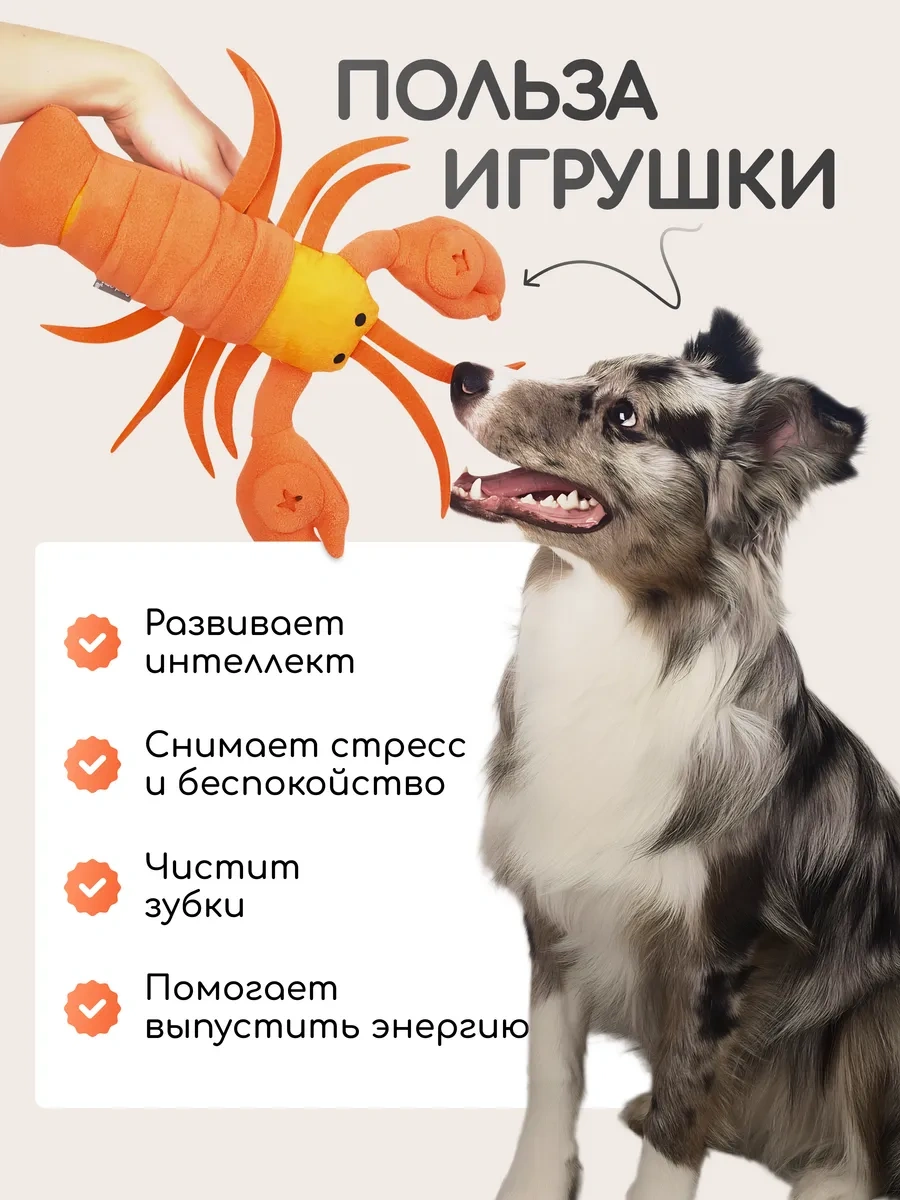 Pet's Boutique Köpekler İçin Yumuşak, Cıvıtmalı Koklama Oyuncağı 325366833