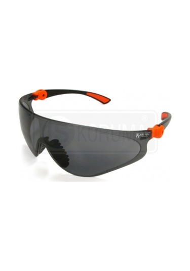 Aran Erıs Açı Ayarlı Gözlük Gri Lens