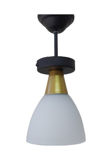 Riolight Modern Tekli Sarkıt