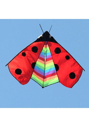 Suntek Delta Kite Fly Uçurtma Spor Bahçesi Için Büyük Kanat