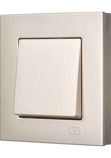 Günsan Eqona Metalik Bej Anahtar