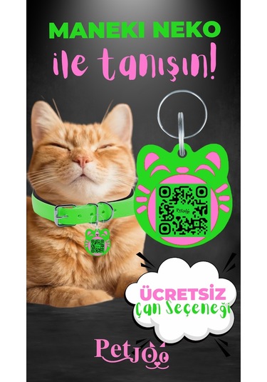 Petjoo 4.Maneki Neko Pembe-Yeşil Qr'lı Kedi Künyesi