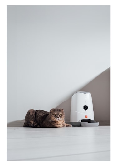 Otomatik 1080p Kameralı Mama Kabı Uzaktan Wifi Kontrollü