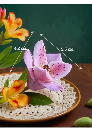 Koroleva Formy Alストロメリア Silikondan Şekillendirme Kalıbı 305262941 Diğer