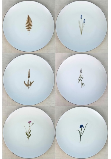 Tabak Evi Porselen Natura Karma Altın Yaldız Servis Tabağı 24,50cm 6 Lı Çok Renkli