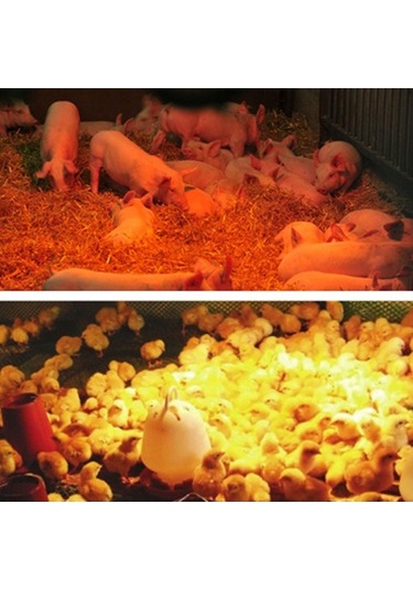 Flybuy 100w-300w Hayvan Isıtma Lambası, 3 Kademe Sıcaklık Ayarı, Evcil Hayvan Yetiştirme İçin