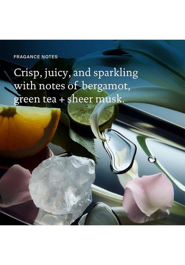 Living Proof Frizz Şampuan Elektriklenme Karşıtı Şampuan 236ml Tüm Saçlar