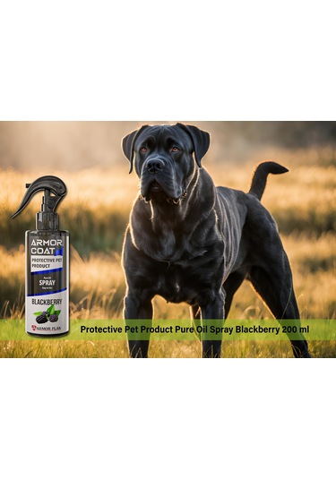 Armor Coat Köpek Bakım Spreyi Böğürtlen Kokulu 200 ML