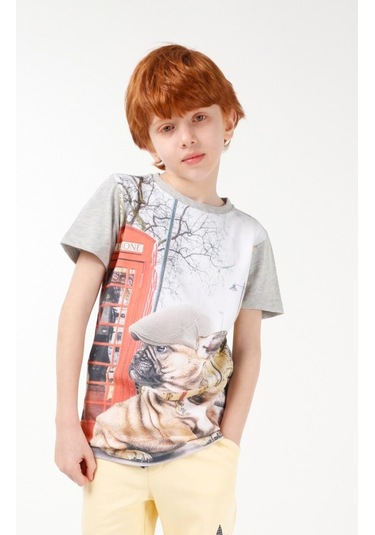 Brz Kids Dijital Baskılı Erkek Çocuk Kısa Kollu T-Shirt Çok Renkli (535266515) Çok Renkli