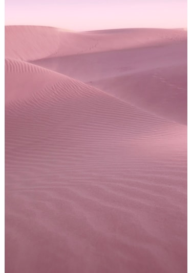 Estee Lauder Desert Eden Kadın Parfüm EDP 100 ML