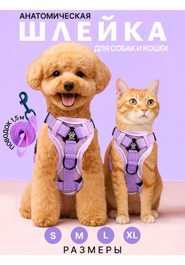 Tori Küçük Ve Orta Irklar İçin Tasmalı Köpek Kayışı Ve Kedi Şeridi 481276812