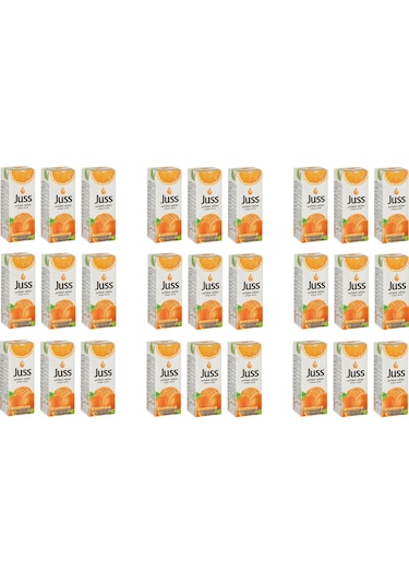 Juss Portakal Nektarı 200 Ml X 27 Adet