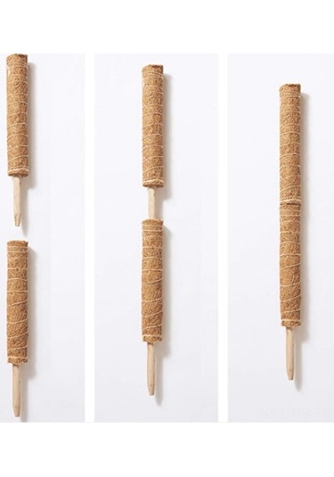 Diğer Tırmanan Pratik Lifli İçin Hindistan Destek Çubuğu Çözüm Cm Cevizi Bitkiler Bitki Adet 45 4 - Ol