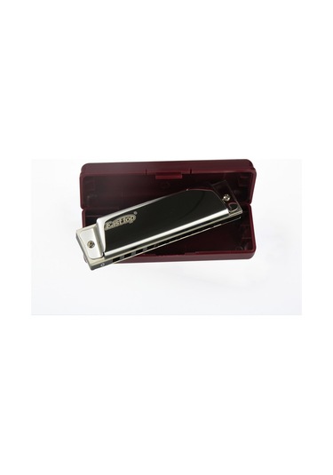 East Top T10 Paslanmaz Çelik Gövde / 10 Delikli / Gümüş-Altın Ren